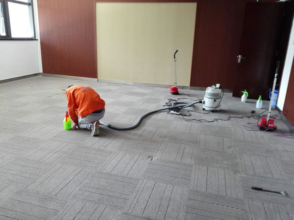 上海麻豆视频免费入口